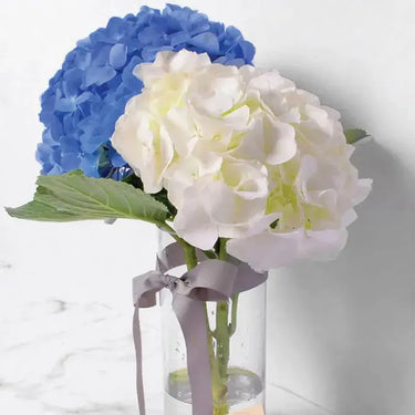 Hydrangea Blue & White in Vase